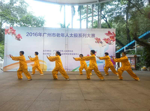 2016年老年人太极系列比赛