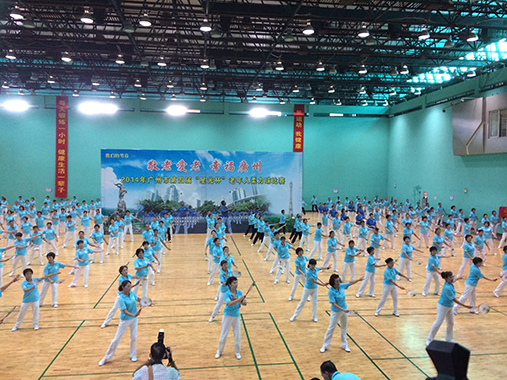 2014年广州市第四届柔力球《星光杯》老年人比赛活动